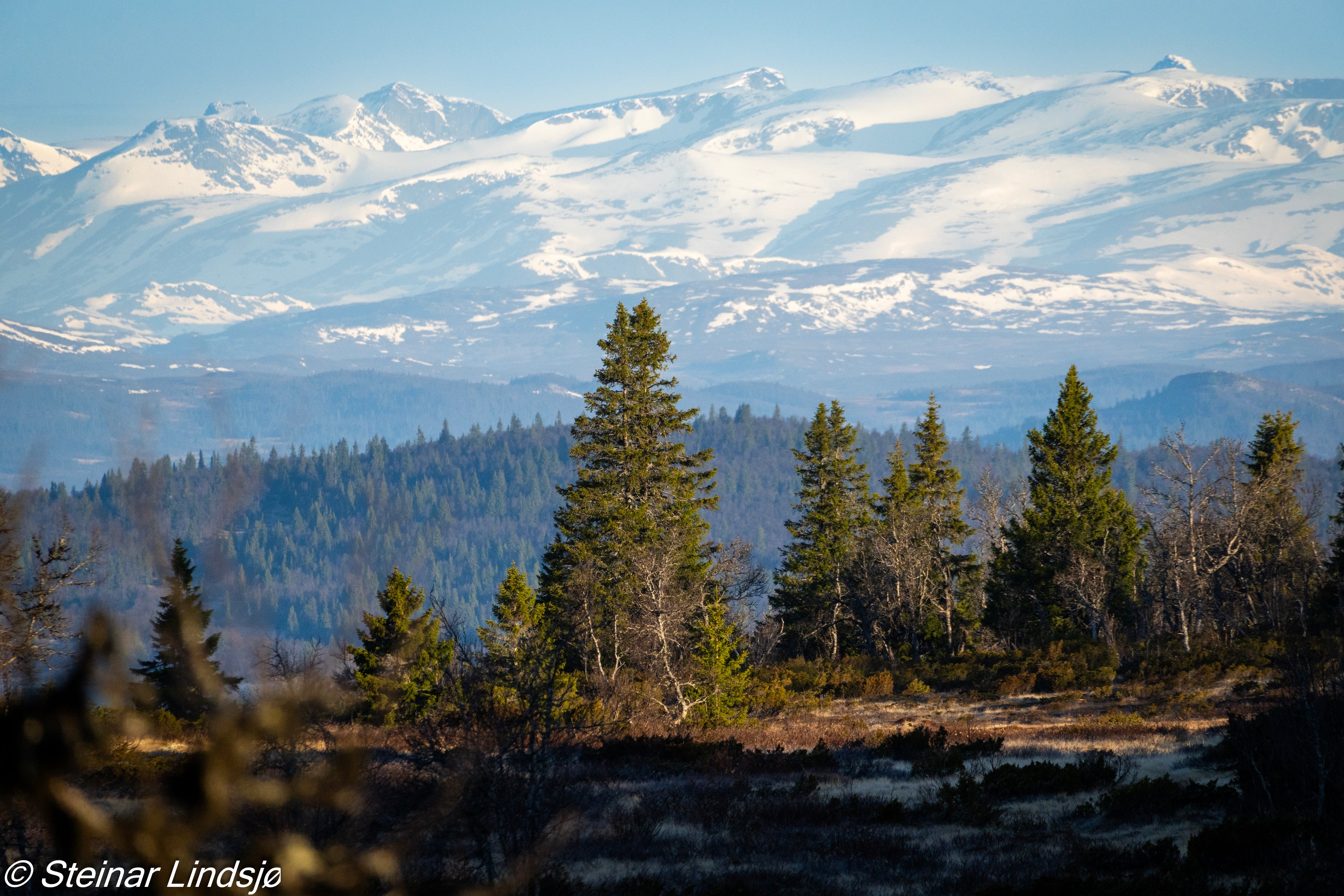 Landskap Jotunheimen